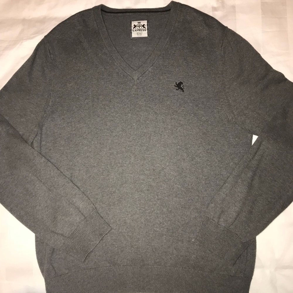 NWOT Express Sweater